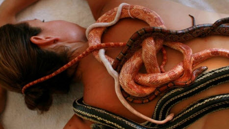 Змеи — массажисты