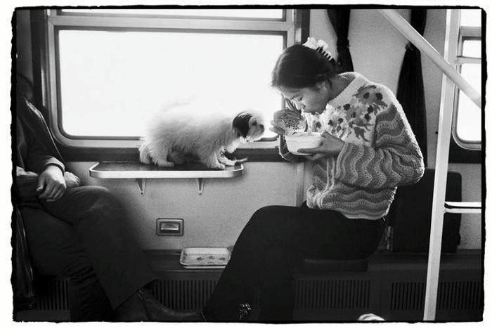 Фотосерия Китайцы в поезде