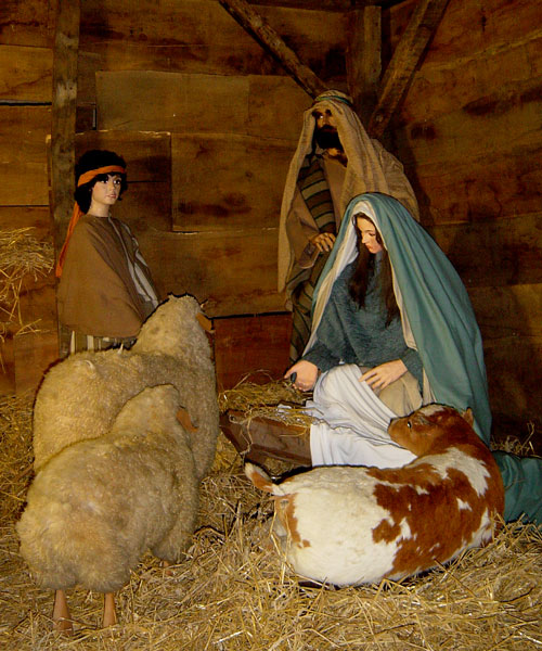 Вот такие сценки можно увидеть на Рождество в католических храмах УТРО