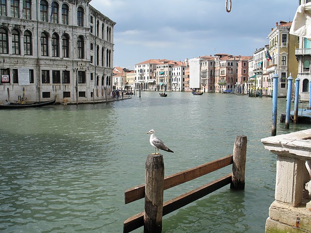Венеция.JPG