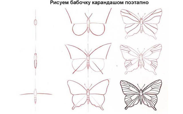 Рисуем бабочку сами