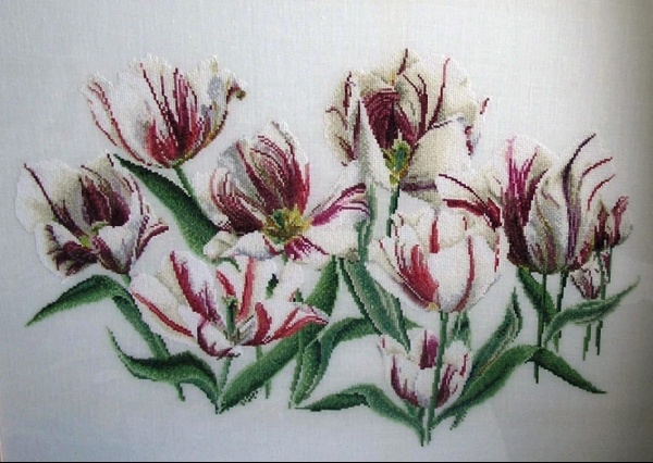 "Rembrandt Tulips" Thea Gouverner,  
ткань лён 40ct 
нитки DMC, 105 цветов zlataya(K)
