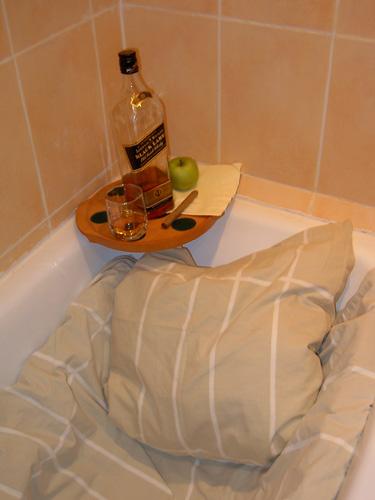 Проснувшись утром в ванной, не удивляйтесь когда на завтрак подадут виски Лисица