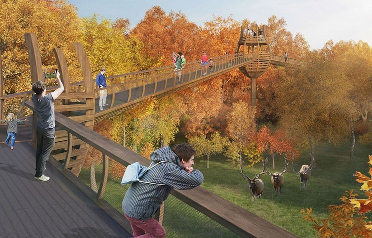 В Сокольниках построят подвесной пешеходный мост