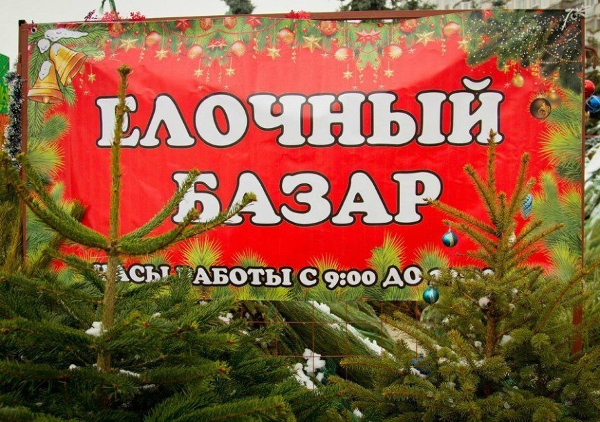 В Москве открылись ёлочные базары