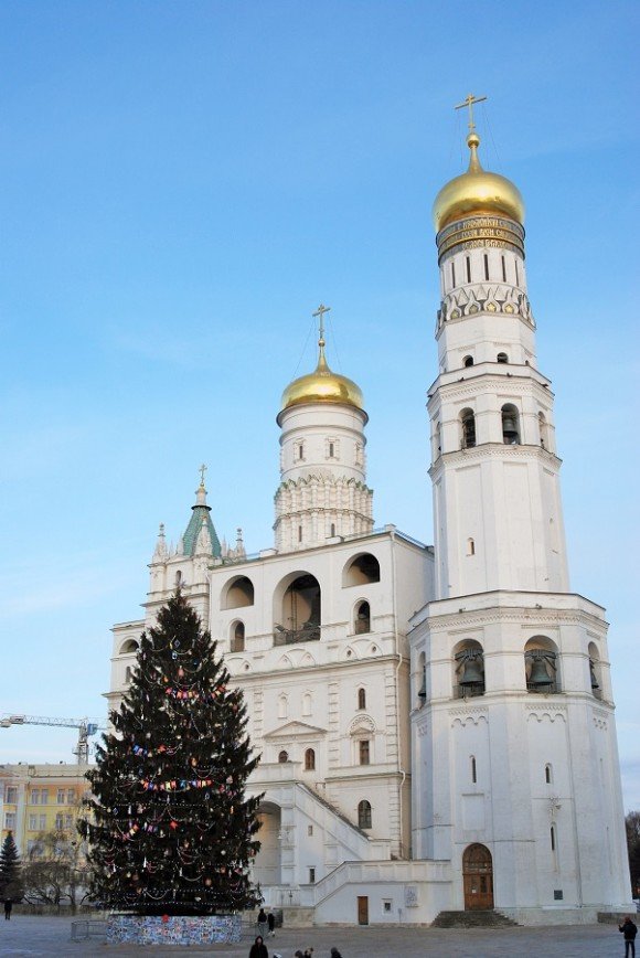 Москву украсят более 150 живых елок