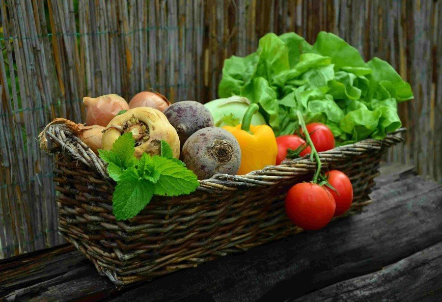 Вегетарианская диета вредит окружающей среде