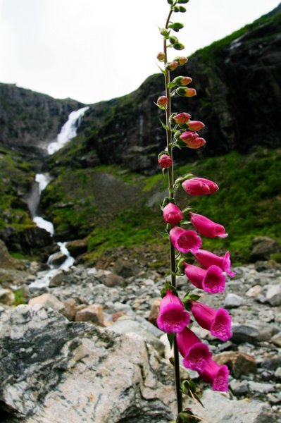 Норвегия, водопады... BUHTAЖ