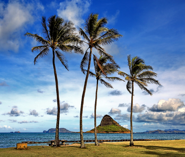 Каулоа парк на Гавайях.

http://www.to-hawaii.com/oahu/beaches/kualoapark.php turquoiseblue