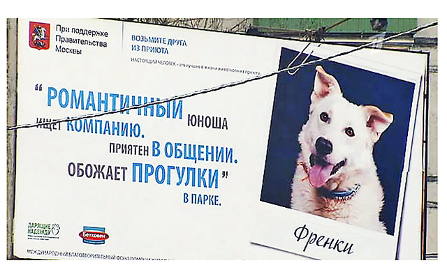 В Москве появились плакаты с фотографиями собак