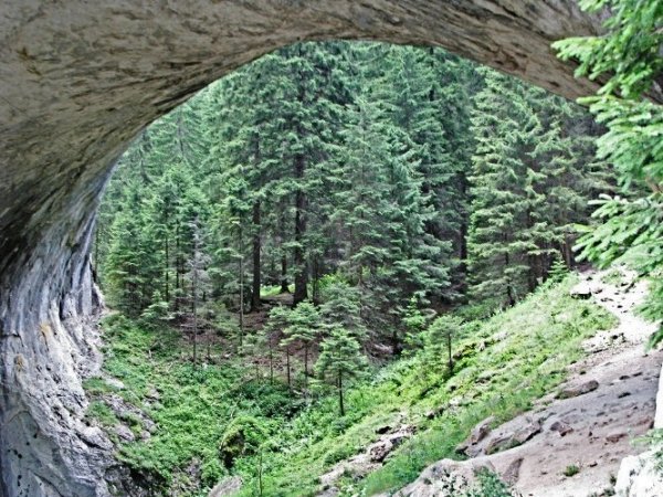 Удивительный скальный феномен «Чудесные мосты», горы Родопи. Образование мостов произошло, вероятно, при землетрясении, обрушившем пещеру. С течением времени под воздействием атмосферных процессов в мраморных скалах оформились два редких по своей красоте, естественных мраморных моста.  Life is miracle