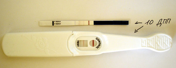 Розовые выделения дпп. Тест на 10 ДПП эко. 12 ДПП трехдневок тест. 12 ДПП тест на беременность. Тест на беременность на 13 ДПП.