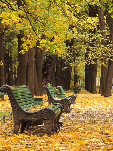 Прогулки по Летнему саду Mamontenok (РК Осенний лист)