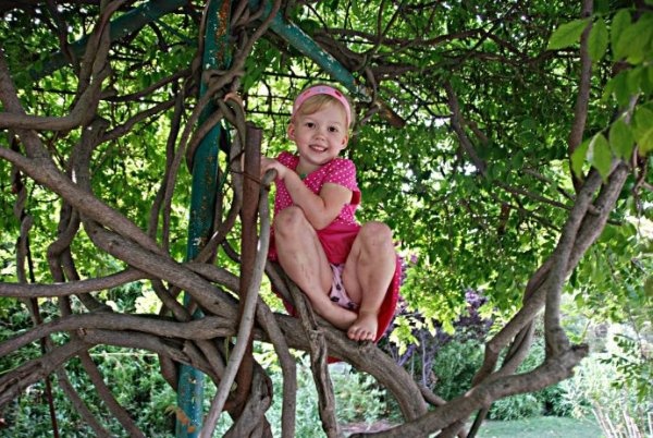 Моя доченька, на любимом дереве.  EvraJane