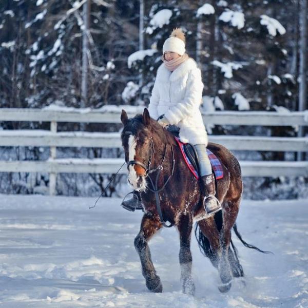 Верховая езда даже в самый сильный мороз - лучшее средство для поддержания не только физической, но и моральной формы julevna