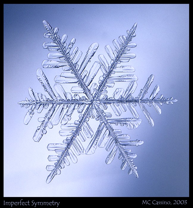 Снежинки под микроскопом
