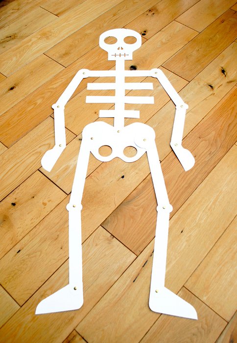 Скелет из картона 