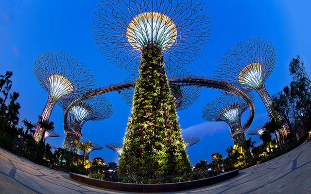 Футуристические прибрежные сады в Сингапуре