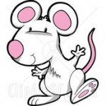 Мышь Белая _