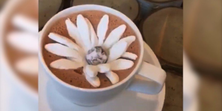 Цветок из зефира для горячего шоколада