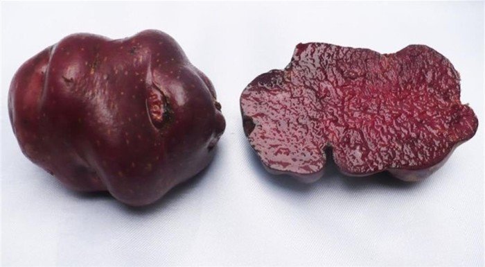 Кровавый картофель из Перу
