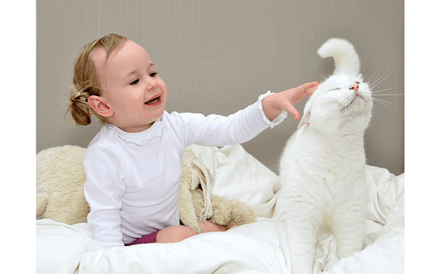 Роль домашних животных в формировании характера ребенка