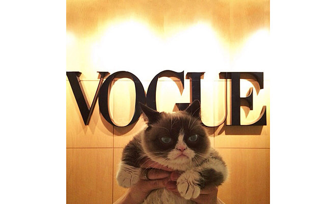 Grumpy Cat побывала в штаб-квартире Vogue