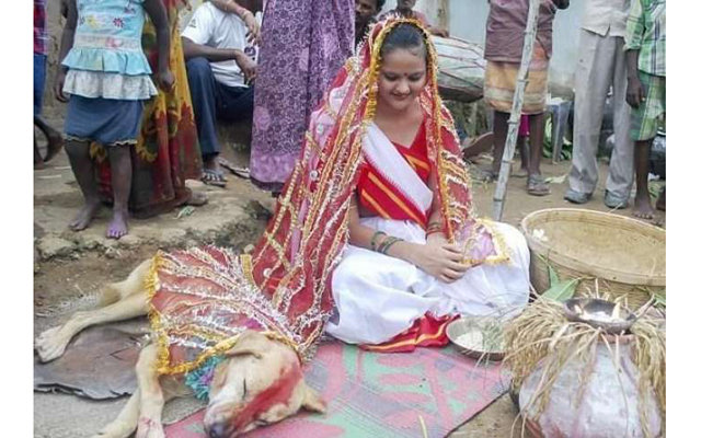 Девушка из Индии вышла замуж за собаку
