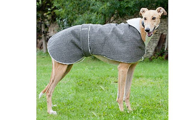 Пальто Winford для собак крупного размера
