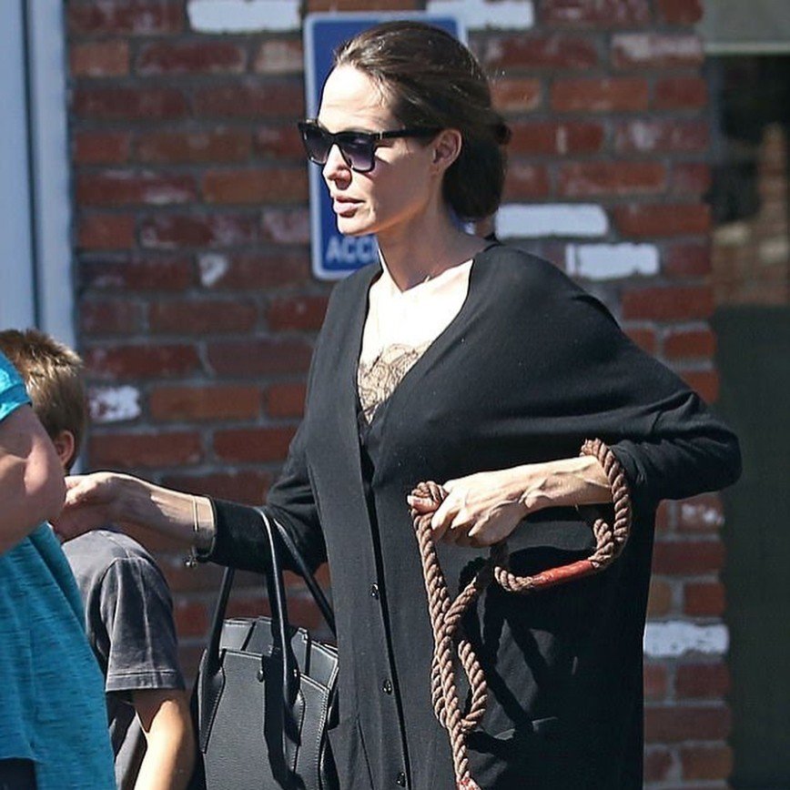 «Как бабка Шапокляк»: Анджелина Джоли с сыном выгуливает собаку