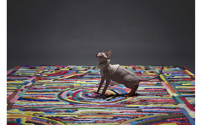 Восточные мотивы и яркие краски с ковром  "Showdown"