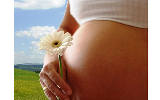 Беременность после пересадки матки