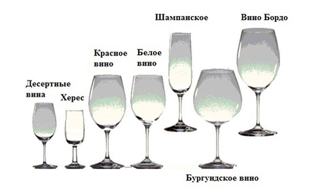 Названия бокалов для вина и их Назначение