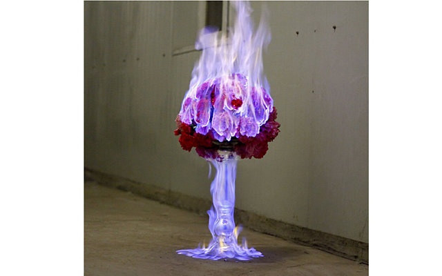 Окутанные пламенем цветы от Jiang Zhi