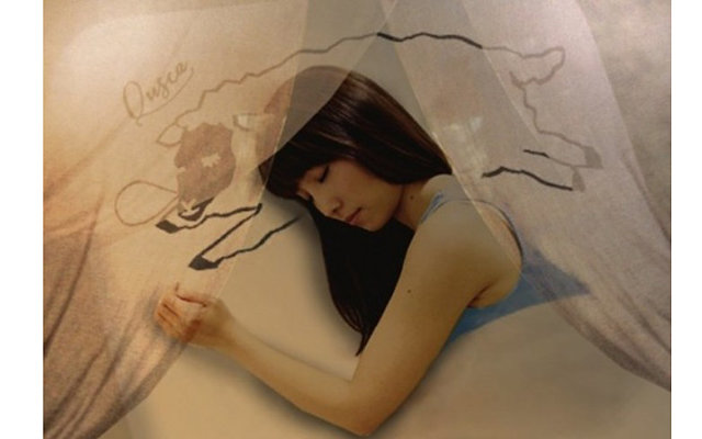 Здоровый сон для японок в кафе Quska Sleeping 