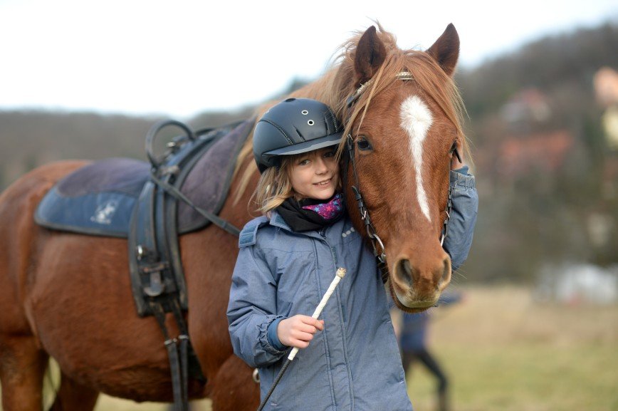 Лошади помогут повысить успеваемость детей в школе