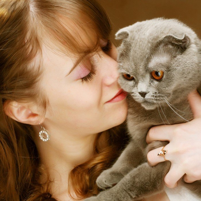 У владельцев кошек повышается риск развития глаукомы