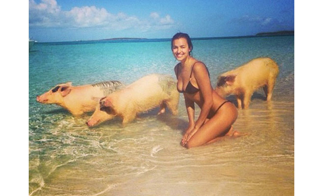 Ирина Шейк купается со свиньями