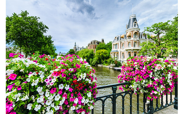 В Амстердаме туристов будут женить на один день