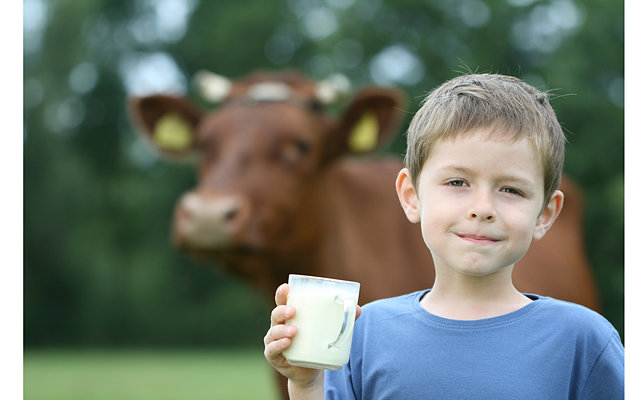 Вред молока в подростковом возрасте