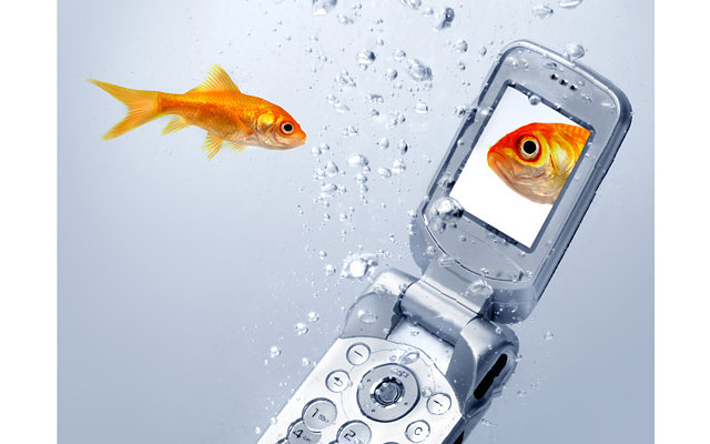  Как спасти телефон, если он упал в воду