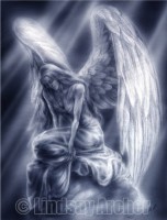 серый ангел SD