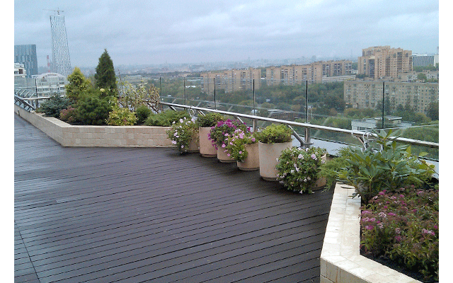 За озеленение крыш в Москве можно получить льготы