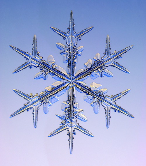 05_snow_crystals.jpg