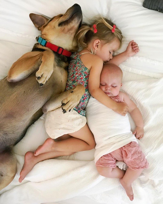 Удивительная история дружбы малышей и собаки потрясла интернет 