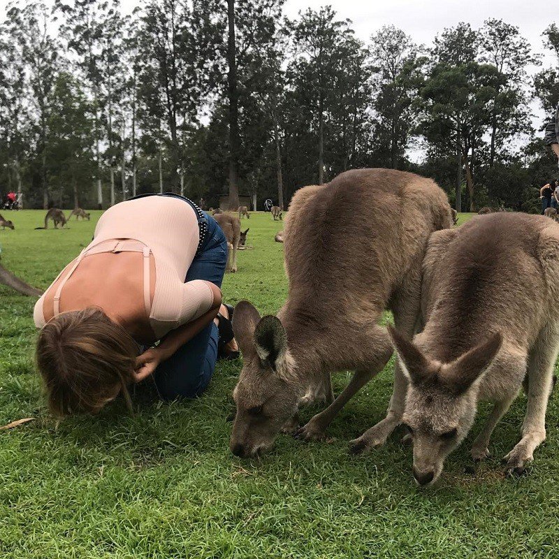 Леся Никитюк нашла братьев по разуму среди кенгуру