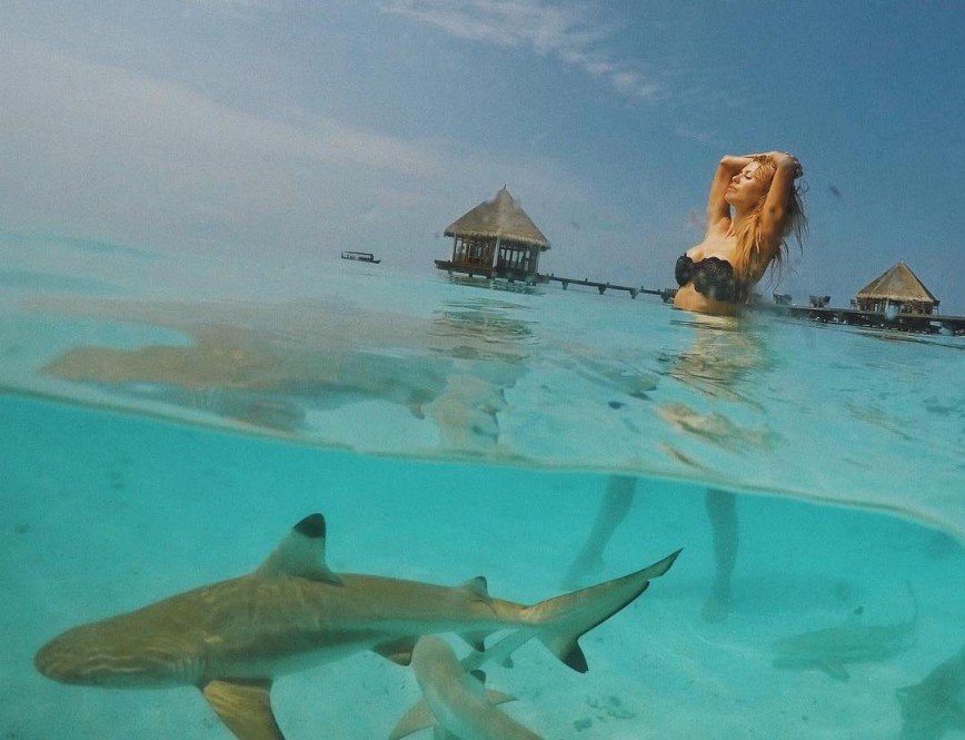  «Кто бы знал»: Виктория Боня во время фотосессии оказалась рядом с акулами