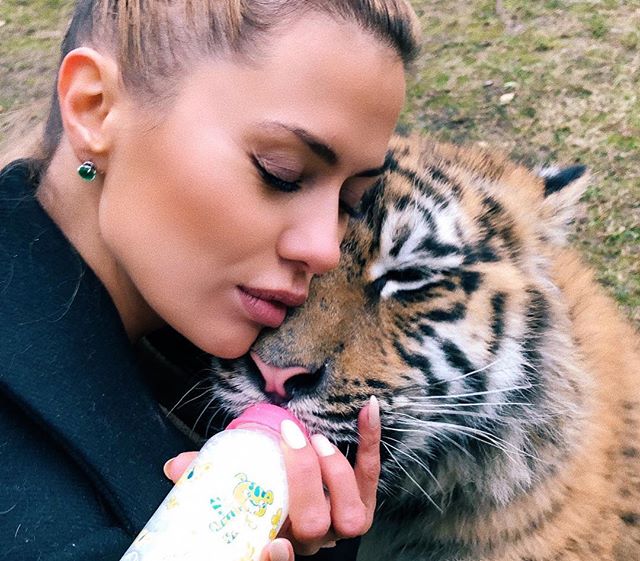 «Мы с ним неразлучны»: Виктория Боня покормила тигренка из бутылочки