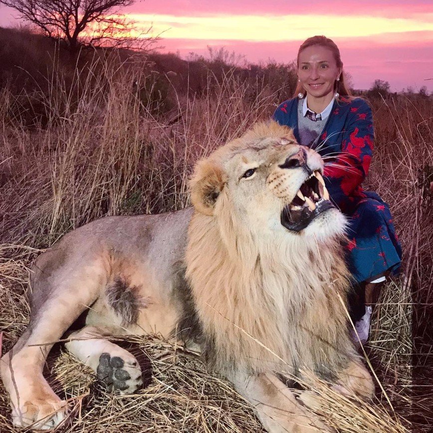 «Это чучело?»: Татьяна Навка поразила фотографией со львом