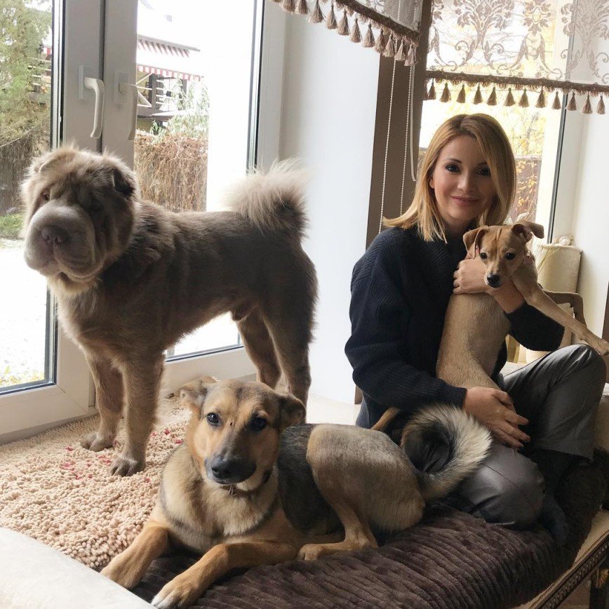 Собаки Ольги Орловой  устраивают ей антицеллюлитный массаж
